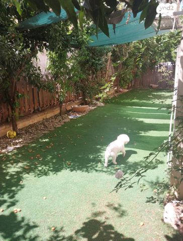 דירת גן, שדרות בגין, כפר יונה