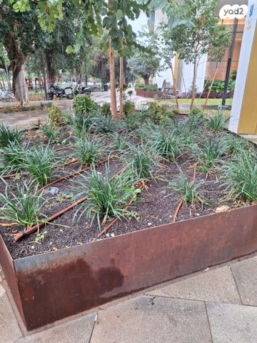 דירה, וינגייט, יד אליהו, תל אביב יפו