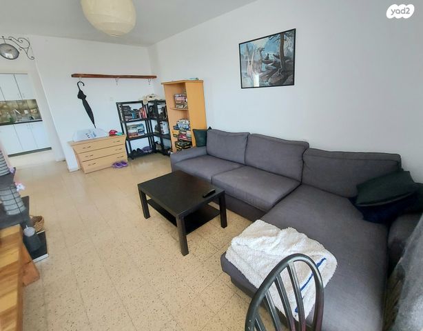 זלמן שניאור 