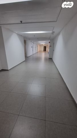 נפתלי פלטין 1