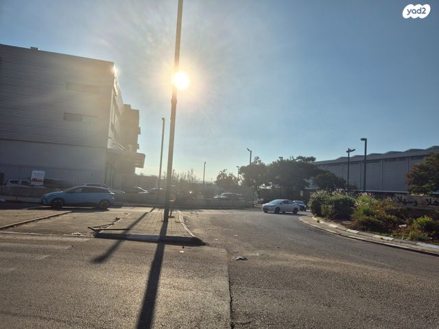 מגרשים, שדרות הדקלים, שאר העיר, ראש העין