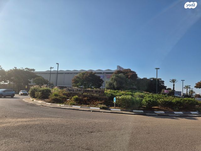 שדרות הדקלים 