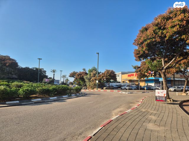 מגרשים, שדרות הדקלים, שאר העיר, ראש העין