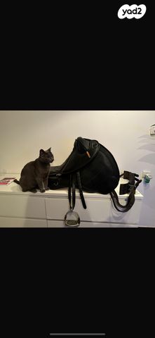 תמונת מודעה - חיות מחמד