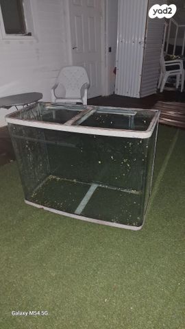 תמונת מודעה - חיות מחמד