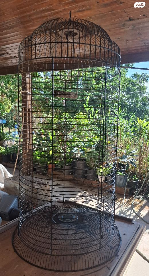 אביזרים | כלוב