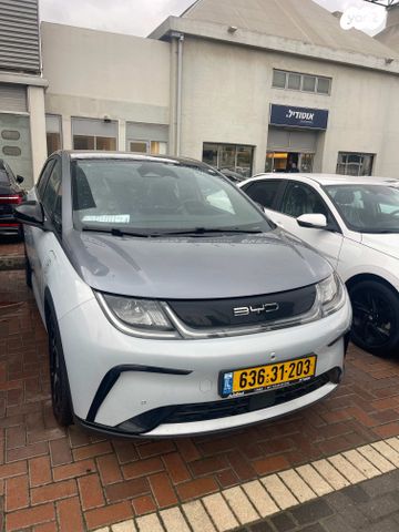 בי.ווי.די דולפין