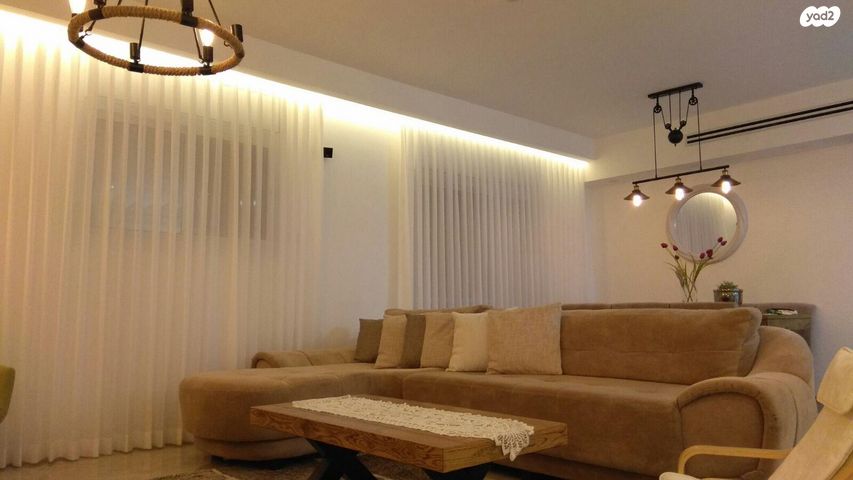 אריה צימוקי 2