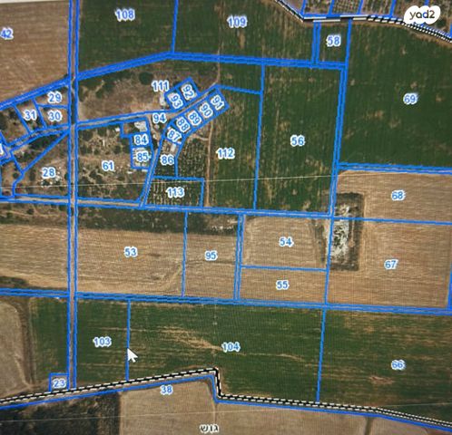 דרך הפרחים 1