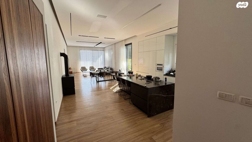 פרופ' דן שכטמן 12