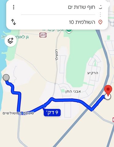 השולמית 10