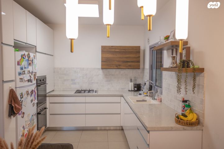 דירה, היסעור 1, החותרים, טירת כרמל