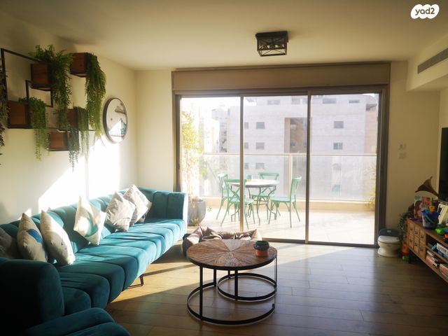 דוד טבצ'ניק 11