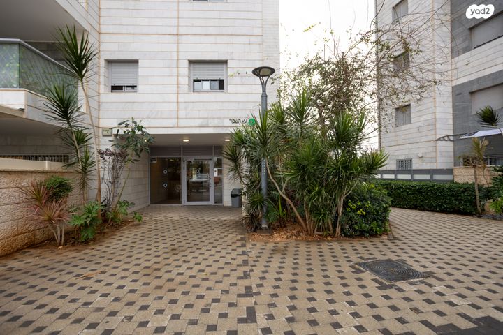 דירה, היסעור 1, החותרים, טירת כרמל