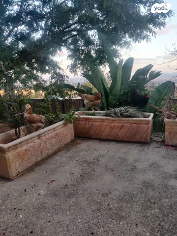 בית פרטי/ קוטג', האלומה 16, ריחן, ריחן