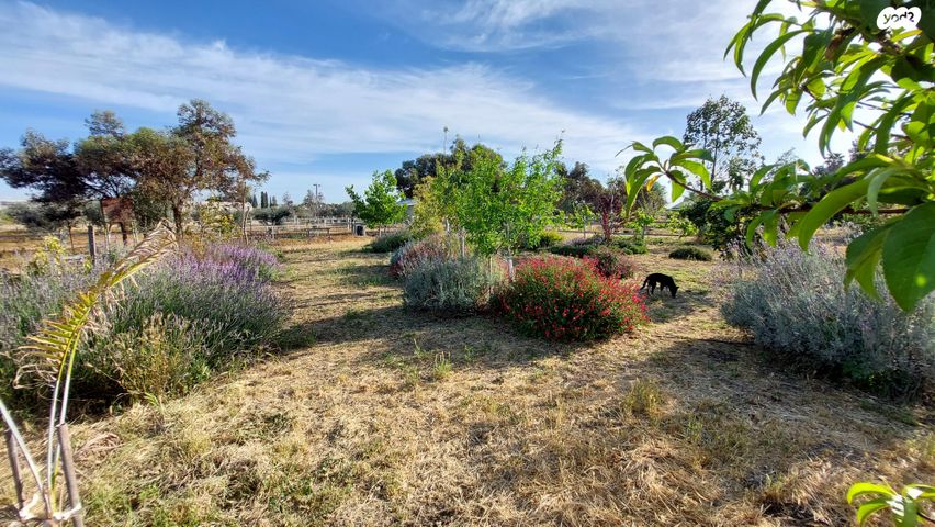 בית פרטי/ קוטג', זית 12, תאשור, תאשור