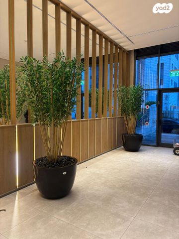 דירה, הגפן 3, כרמי הנדיב, אחוזת רוטנר, קרית מלאכי