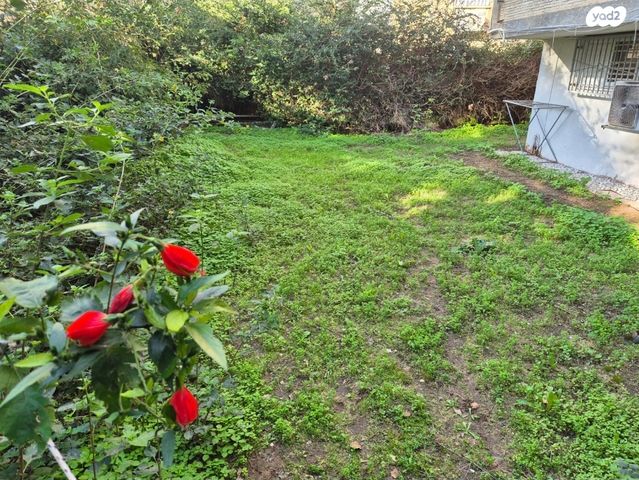 א.ד. גורדון 33