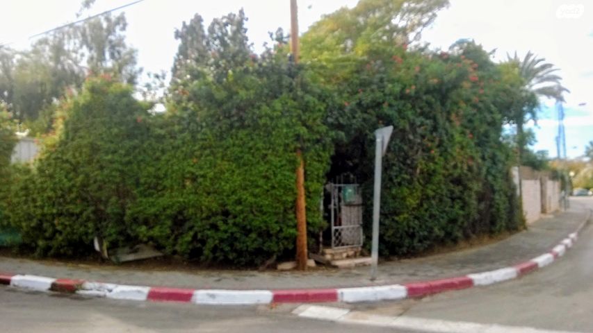 שבטי ישראל 1