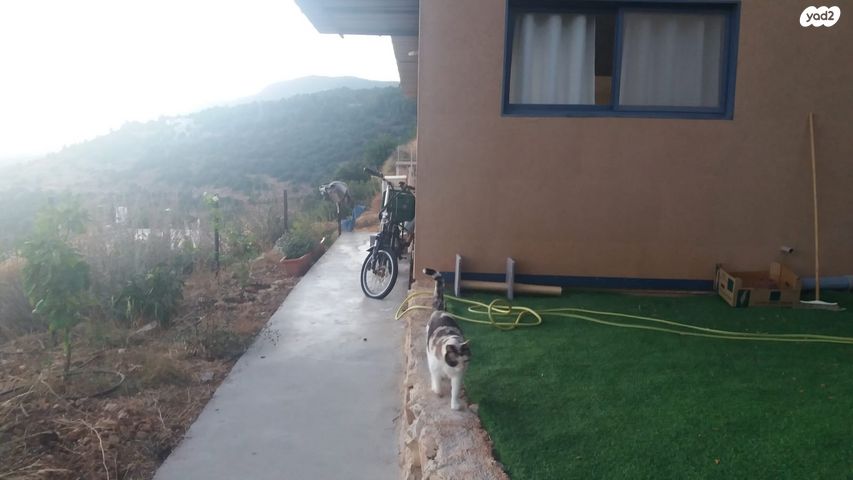 יחידת דיור, הכרמים 1, אמירים, אמירים