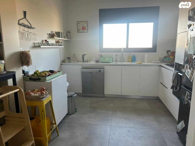 עין המערה 13