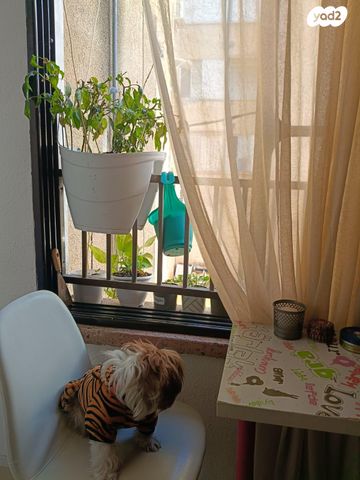 דירה, הרצל 95, ראשונים, ראשון לציון