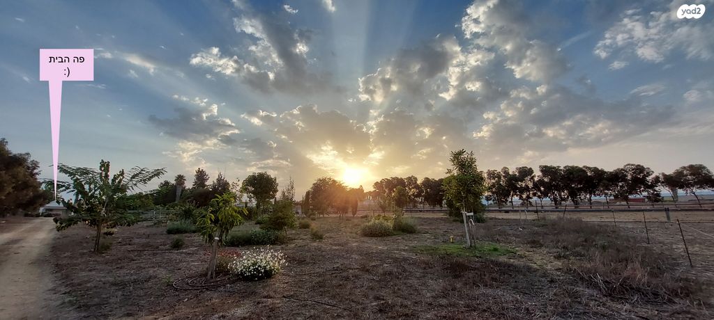 בית פרטי/ קוטג', זית 12, תאשור, תאשור