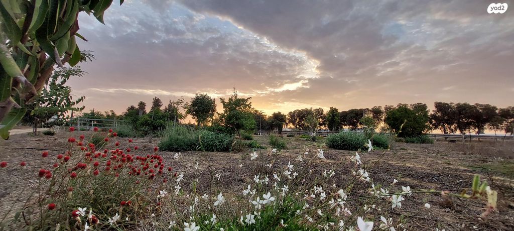 בית פרטי/ קוטג', זית 12, תאשור, תאשור