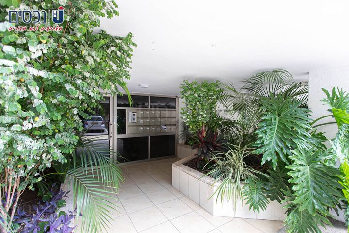 דירה, מבצע יונתן, רוממה, חיפה