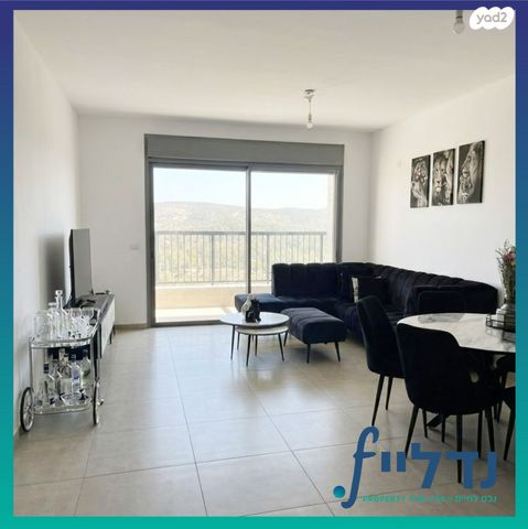 רועי קליין 5