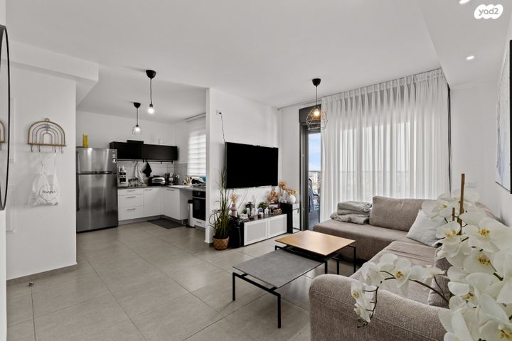 דירה, שלמה לוי, נרקיסים, ראשון לציון