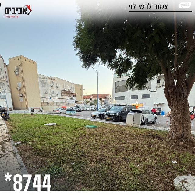 דירה, בן גוריון, שדרות