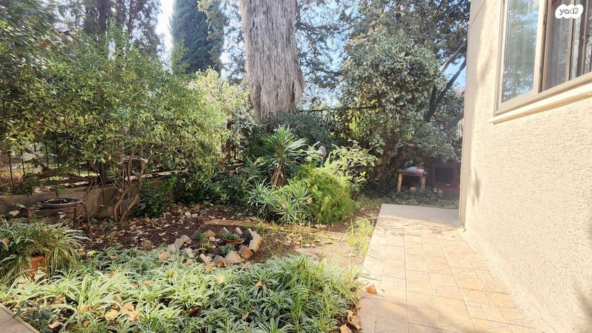 דירת גן, הדפנה, יצחק רבין, מעלות תרשיחא