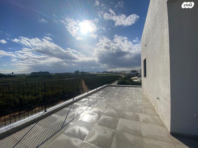 דופלקס, תל מונד