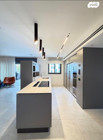 האוניברסיטה 