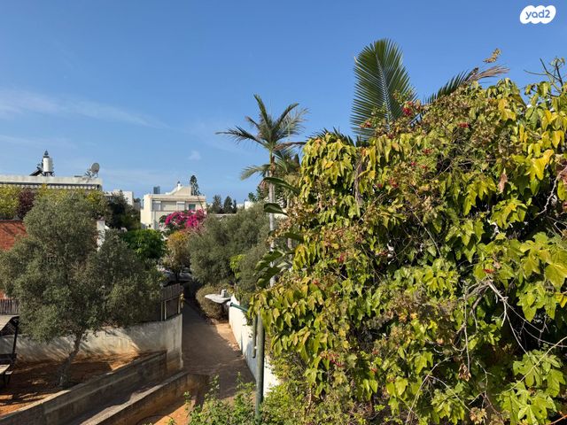 דו משפחתי, הדר, רמת השרון