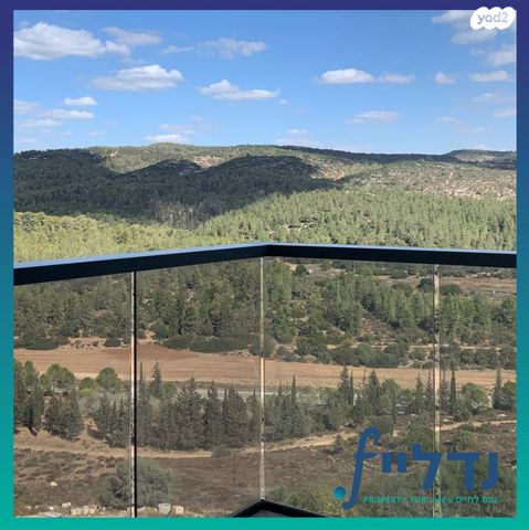 רועי קליין 27