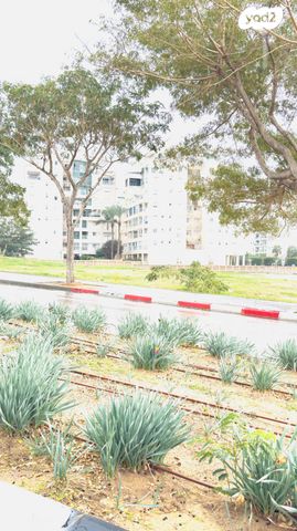 דירה, אשדוד