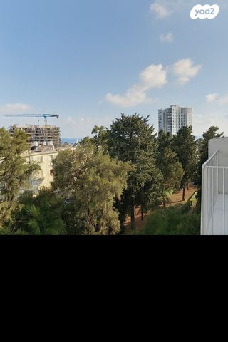 דירה, סמטת רודן, קרית שפרינצק, חיפה