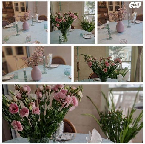 דירת גן, רפיח ים, נתיבות מערב, נתיבות