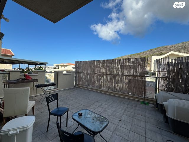 דופלקס, עץ השדה, אדמית / יערית, שלומי