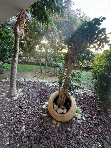 דירה, הרצליה