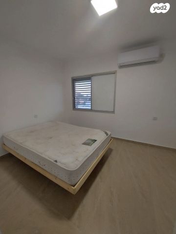 דירה, נעורים, ערד