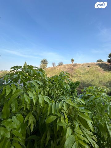 דירה, איתמר, חרוזים, רמת גן