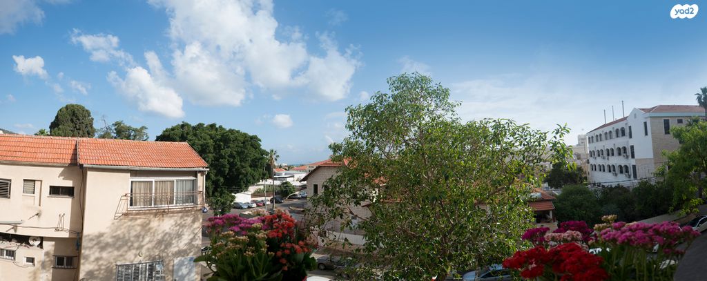 דירה, מאיר רוטברג, חיפה