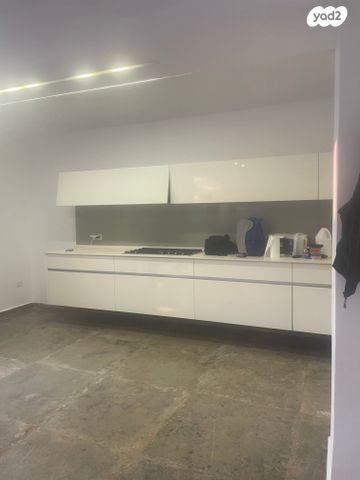 אלברט שווייצר 