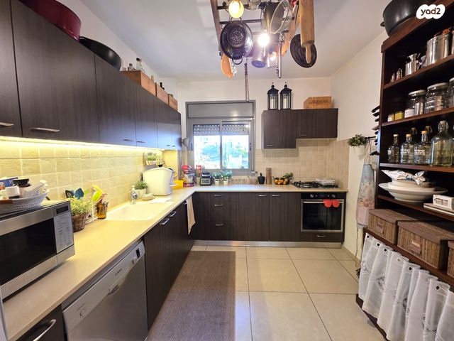 דירה, הזמר העברי, כפר סבא