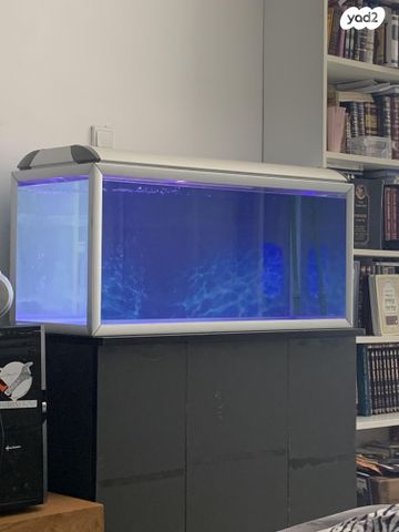 תמונת מודעה - חיות מחמד