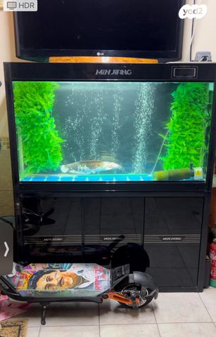 תמונת מודעה - חיות מחמד