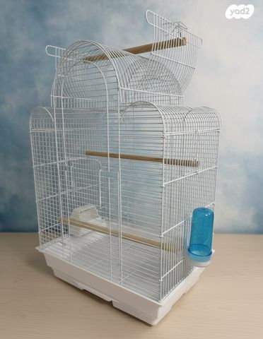 תמונת מודעה - חיות מחמד